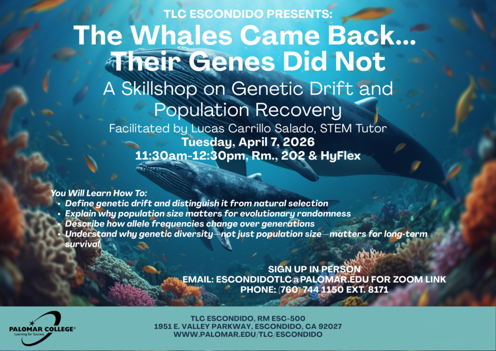 Genetic Drift and Population Recovery in Whales