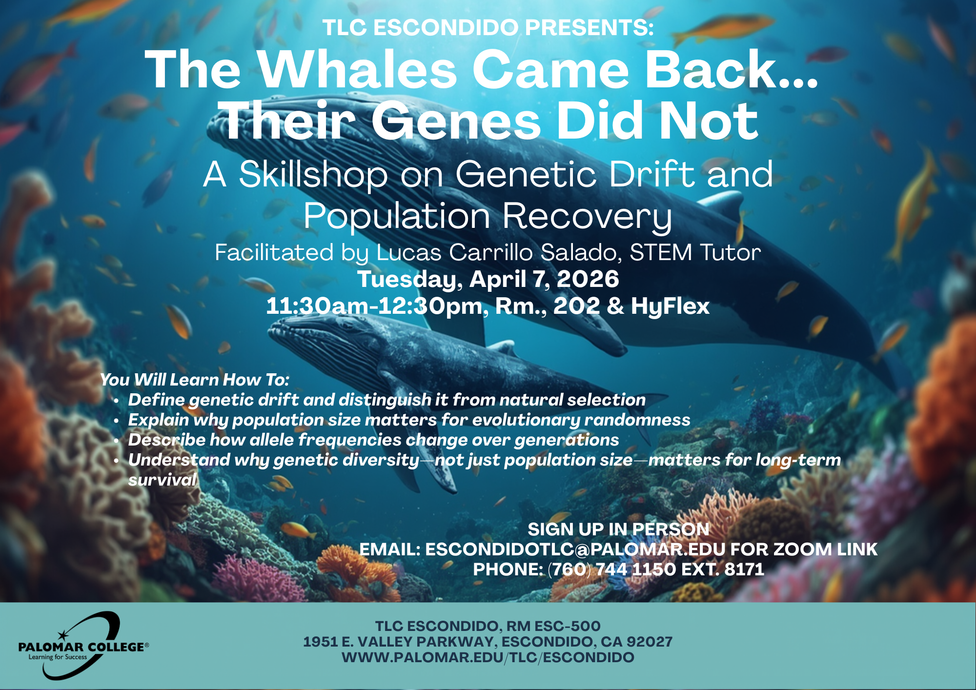 Genetic Drift and Population Recovery in Whales