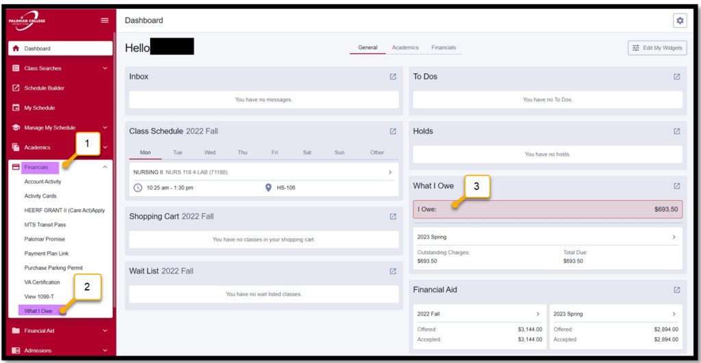 1.  Click the Left navigation "Finances" expandable option 2. Click What I owe under Finances 3. Or Click the What I owe from the center of the dashboard