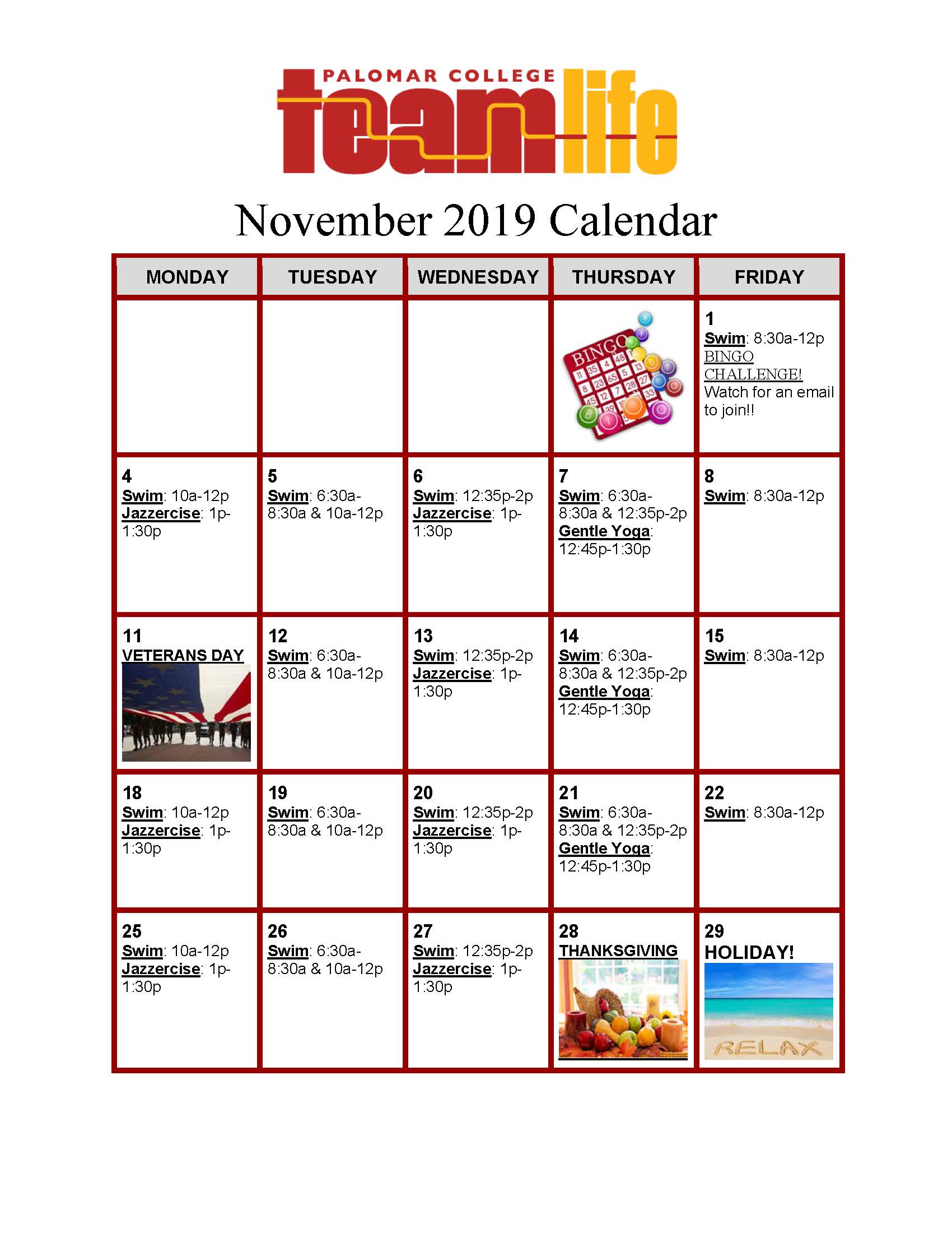 TEAM Life November Activities