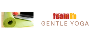 TeamLife Gentle Yoga 