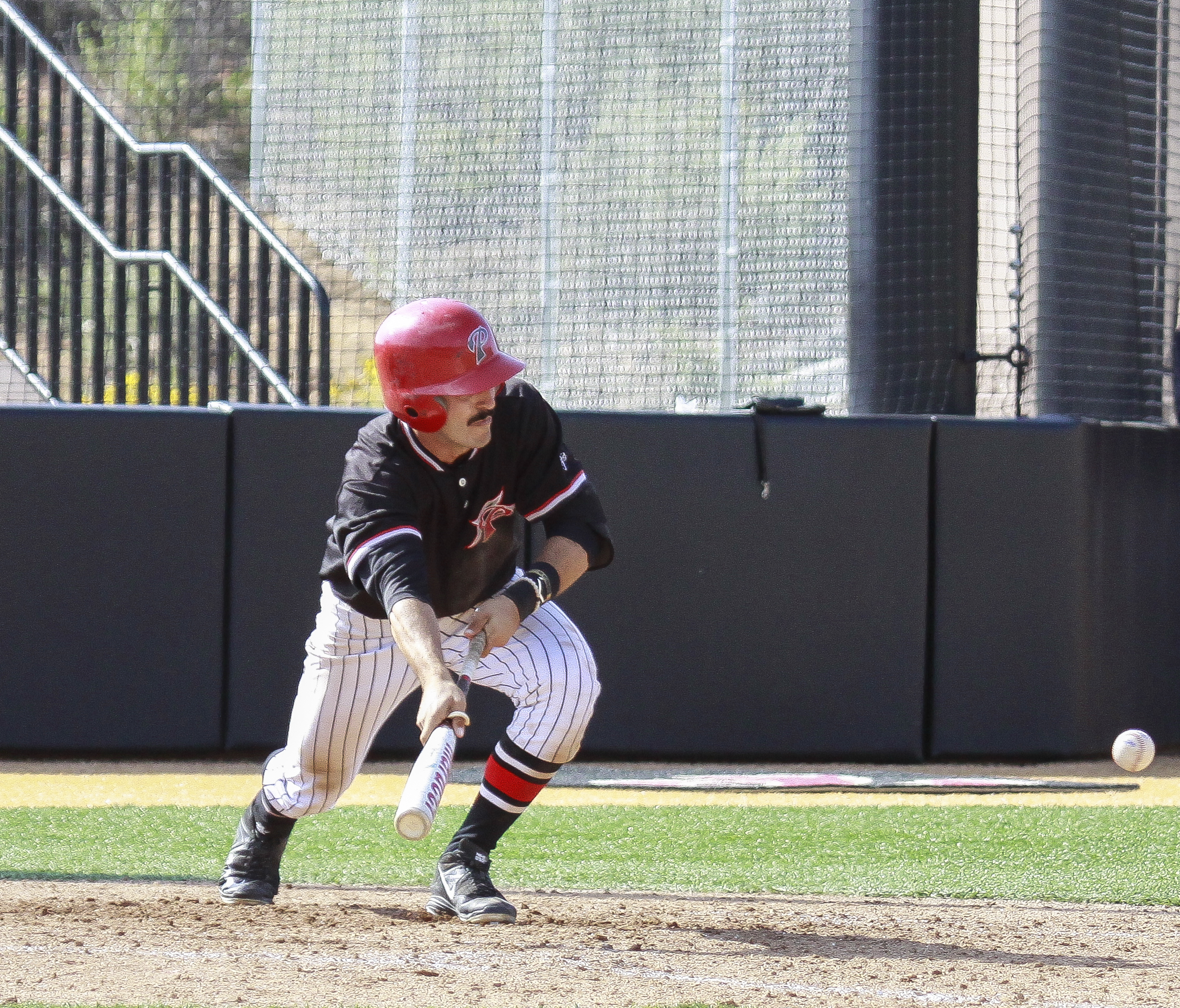 Palomar's Sam Casinelli lays down a bunt in the 5th inning against San Diego Mesa College at Palomar Ballpark on March 22. Casinelli safely reached 1st base ahead of the throw. Palomar scored 5 runs in the inning and won the game 16-11. Stephen Davis/The Telescope