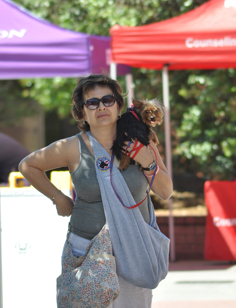 Palomar's Student Amy Ray carries her 9-month old service dog Sophia due to hot California day on April 20. Johnny Jones /The Telescope