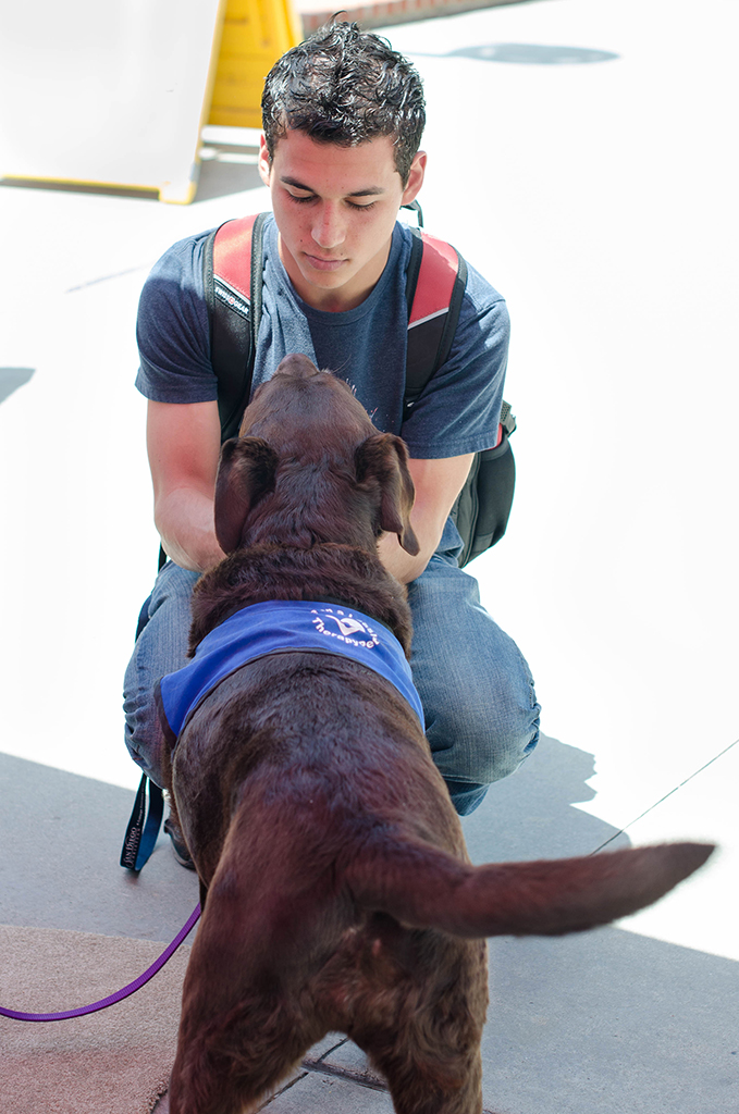 Palomar student Luke Maxwell kneels outside of Love on a Leash's canopy petting Tater, a pet therapy dog used to help relievate the petters stress. This was just a part of Palomar College's Career Day held at the Student Union on April 27. Tracy Grassel/The Telescope