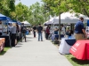 Palomar students participate in Career Day that took place on the grassy area of the Student Union on April 27. Employers such as BridgePoint, LegoLand, Chula Vista Police Department were only a few businesses that students could inquire information from. Tracy Grassel/The Telescope