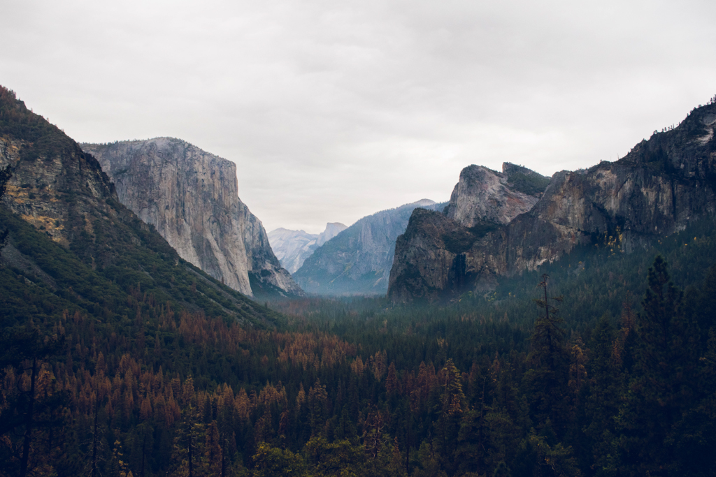 Tunnel View Yosemite Valley. Photo courtesy of Irwin Sanchez