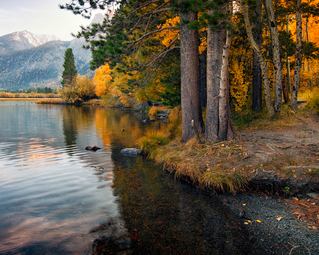 Eastern Sierras. Photo courtesy of Barbara Wise