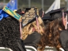 Many of the graduating students decorate their caps at the commencement ceremony at Palomar College in San Marcos, Calif. on May 26, 2017. Joe Dusel / The Telescope
