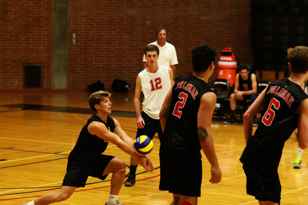 Tyler Hedley (11) pops the ball to aid Palomar in winning the second set 25-15 at the Dome March 2. Christopher Jones/The Telescope