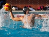 Palomar's Conner Chanove (4) steadies himself before throwing the ball during the men's water polo against Grossmont on Sept. 28 at the Wallace Memorial Pool. Chanove contributed with two goals. Palomar defeated Grossmont 15-10. Coleen Burnham/The Telescope