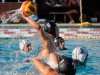 Palomar's Grant Curry (8) attempts to throw a goal during the men's water polo against Grossmont on Sept. 28 at the Wallace Memorial Pool. Eddy Ruess (9), Conner Chanove (4), Eli Foli (3) and Nick Sedberry (3) observe. Curry contributed with 5 goals. Palomar defeated Grossmont 15-10. Coleen Burnham/The Telescope