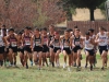 Palomar Mens' Cross Country team at the starting line, Sept. 8 in Guajome Park, Oceanside. Gerald Burton/The Telescope