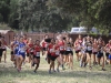 Palomar College's Womens' Cross Country at the starting line in Guajome Park, Sept. 8. Larie Tobias Chairul/The Telescope