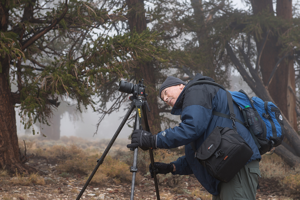 Terry Ogden, Palomar College student, carefully sets up a photograph of an Ancient Bristlecone Pine for his Landscape and Culture class lead by Donna Cosentino, in the White Mountains at Schulman Grove, Oct. 16, 2015. Schulman Grove is a short hike around the ancient pines just above the Visitor Center near Lone Pine. Brandy Sebastian/The Telescope
