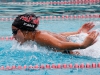 Palomar's Paulina DeHaan swims the butterfly leg of the women's 200-yard medley relay during the meet against Grossmont at the Wallace Memorial Pool on April 8. Palomar women placed first with a time of 1.57.77. Coleen Burnham/The Telescope