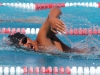 Palomar's Jarquin Martin swims the men’s 1000-yard freestyle at the swim meet between Palomar and Grossmont on March 17 at the Wallace Memorial Pool. Martin placed third with a time of 13:10.46 but the men lost 136.5 - 103.5. Coleen Burnham/ The Telescope