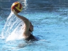 Palomar player Jazmin Handorf (6) in control of the ball Oct. 19 against Mesa at Wallace Memorial Pool. Palomar was defeated by the defending state champions San Diego Mesa 5 to 9. Johnny Jones/The Telescope