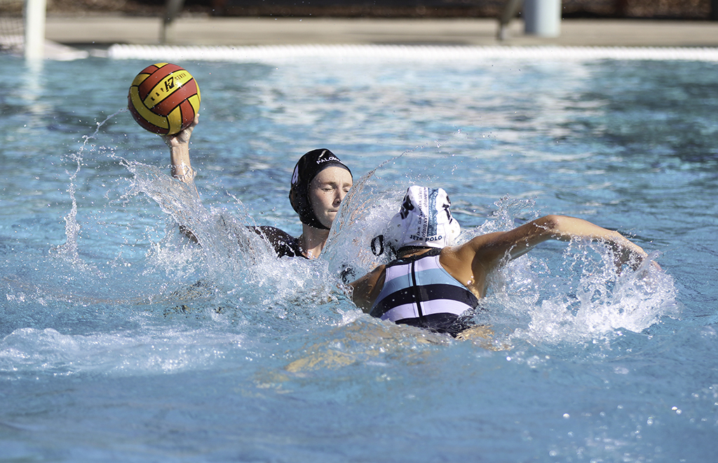 sports.wwp_.101216.4Alyssa Johnson (19) and scores the sixth goal of the game. Palomar won 9-4 against Miramar on Oct. 12 at the Wallace Memorial Pool. Kayla Rambo/The Telescope
