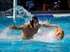 Palomar's Conner Chanove (4) fights for the ball during the Men's Water Polo PCAC Conference game between Palomar and Miramar on Nov. 4 at the Ned Baumer Pool. Palomar men won 22-12. Coleen Burnham/The Telescope