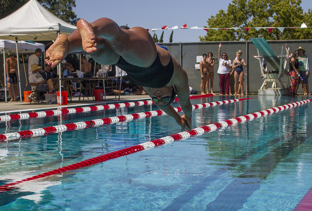 Palomar’s Lucy Gates enters the water for the 100 yard breaststroke held April 17. The Comets hosted the 2015 Pacific Coast Athletic Conference Men’s/Women’s swimming-diving championships. Philip Farry / The Telescope.