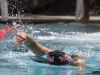 Palomar’s Emille Foltz swims the 200 yard freestyle event, Foltz placed fourth in her heat with a time of 2:20 held Friday April 17 at the Wallace Memorial Pool. Philip Farry / The Telescope.