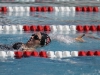 Palomar’s Chelsea Sommer swims the 100 yard Saturday April 18 at the Wallace Memorial Pool. The Comets hosted the 2015 Pacific Coast Athletic Conference Men’s/Women’s swimming-diving championships. Philip Farry / The Telescope.