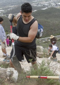 Neuroscience student Carlos Araujo clears shrubs and dirt away from rocks that will get painted April 25. Steve Porter/The Telescope