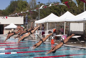 Members of the Palomar College and Grossmont College men's swim team dive into the pool to begin the 100 yard breast event March 14, 2014. Lucas Spenser/Telescope 2014.