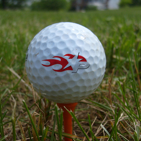 A golf with a Palomar College logo sits on a tee in a grassy turf.
