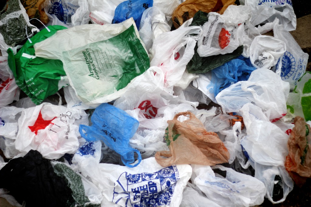 California Gov. Jerry Brown signed a statewide ban on the use of plastic bags this September, the ban will go into affect July 1, 2015. •Brian O'Malley/ The Telescope