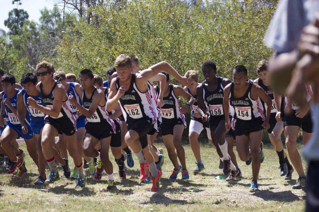 Palomar College Cross Country Invitational at Guajome Park. Palomar College men cross country runners show their determination as the cross country race starts at Guajome park. 