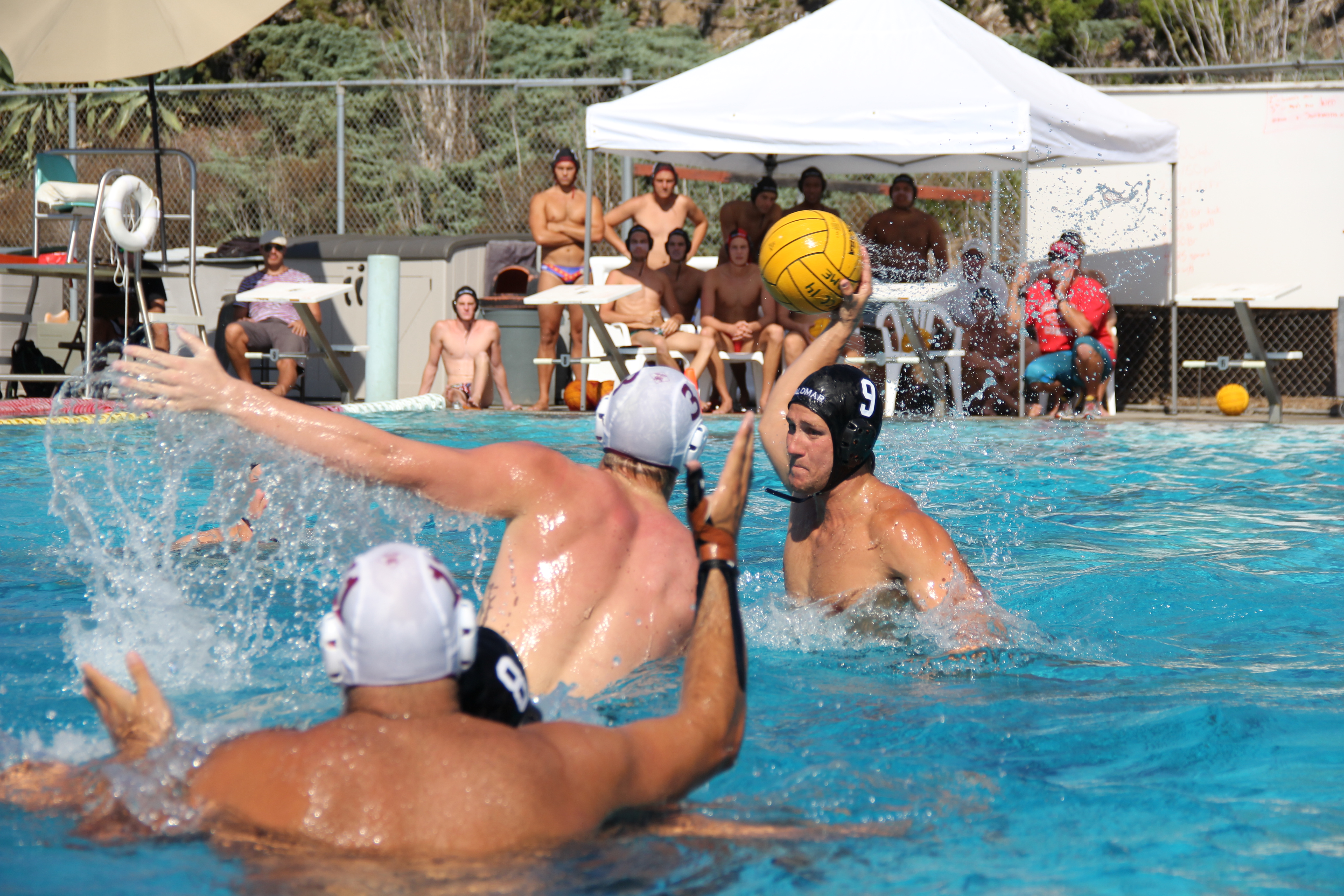 A male Palomar water polo player throws a ball as an opponent tries to block him.