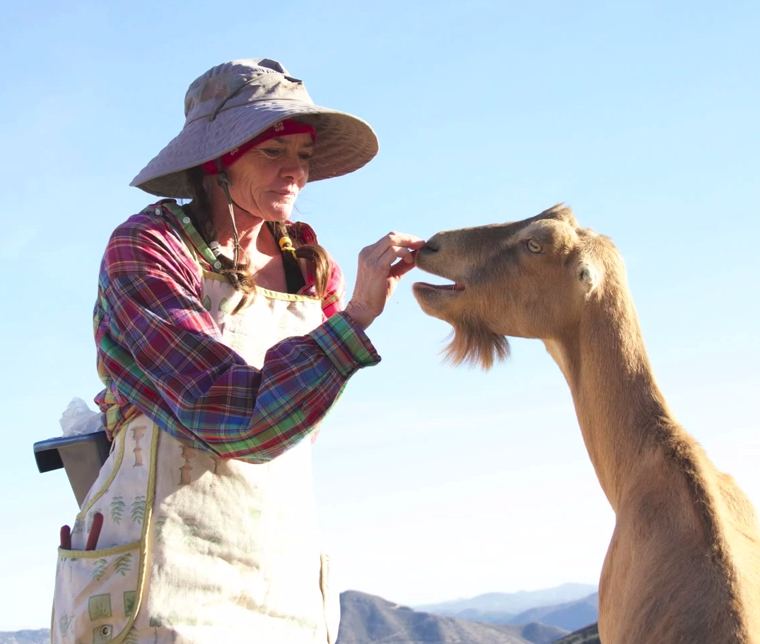 Kira Ezis feeds a goat at Moon Shadow Ranch. (Meredith James/The Telescope)