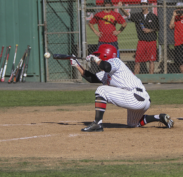 A male Palomar baseball player kneels on his right knee and bunts a baseball. Three men stand in the background behind a chain-linked fence.