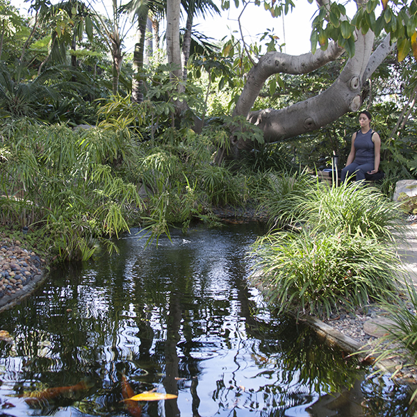 The Self-Realization Fellowship Hermitage and Meditation Gardens provide a space where people can meditate or just enjoy the serenity of the grounds, as in this photo taken in Mid-March at the Gardens in Encinitas. Claudia Rodriguez/The Telescope