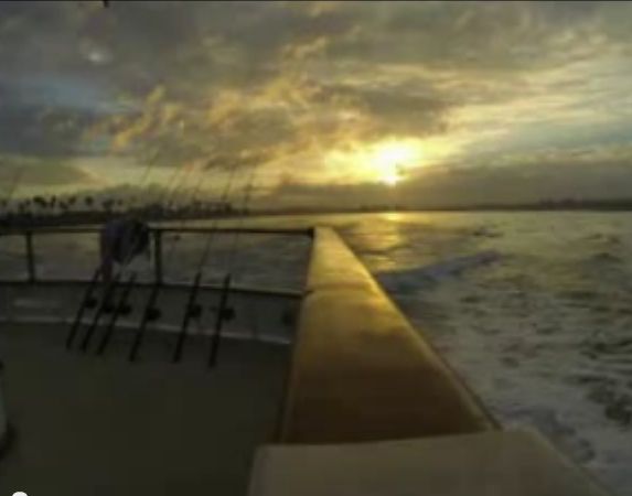 Video: The San Diego Lifestyle. (Justin Sumstine/The Telescope)