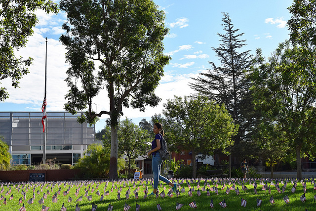 Andrea Rubortone, Palomar student, walks through the flags at the 9/11 remembrance near the Veterans Memorial. Michelle Wilkinson/The Telescope