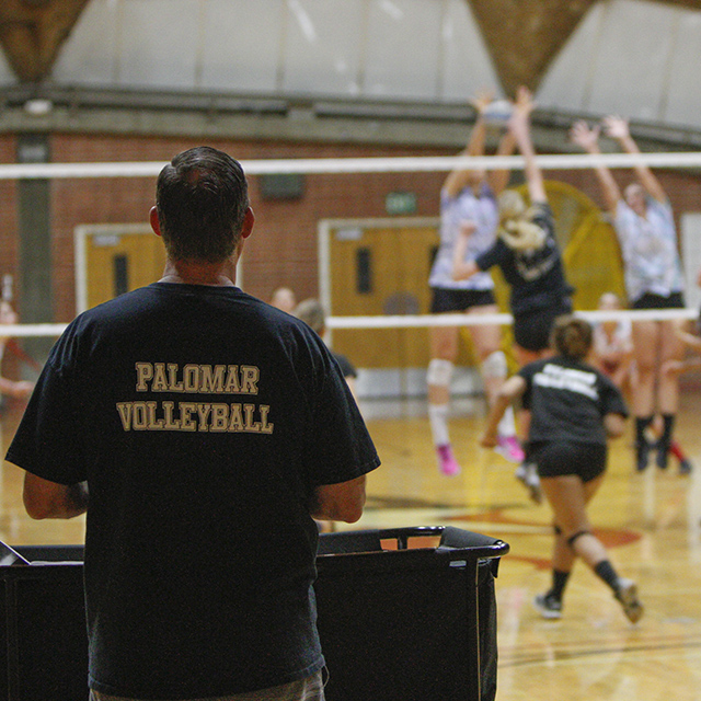 Volleyball coach Karl Seiler watches a game, the back of his T-shirt says "PALOMAR VOLLEYBALL."