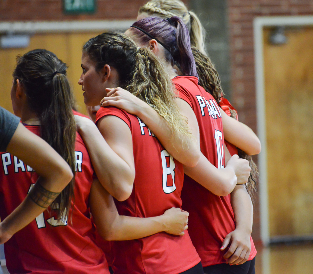 Palomar’s women’s volleyball team gathers together during a home game against Grossmont College at the Dome, Wednesday, Sept. 30, 2015. (Brandy Sebastian/The Telescope)