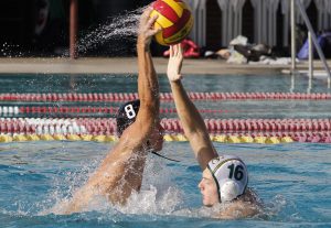 Palomar's Grant Curry (8) and Grossmont's Conner Keils (16) fight for the ball during the Men's Water Polo game between Palomar and Grossmont on Sept. 28 at the Wallace Memorial Pool. Palomar men won 15-10. Coleen Burnham/The Telescope