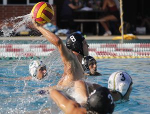 Palomar's Grant Curry (8) attempts to throw a goal during the Men's Water Polo game between Palomar and Grossmont on Sept. 28 at the Wallace Memorial Pool. Eddy Ruess (9), Conner Chanove (4), Eli Foli (3) and Nick Sedberry (3) observe. Palomar men won 15-10. Coleen Burnham/The Telescope