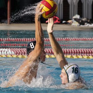 Palomar's Grant Curry (8) wrestles for the ball with Grossmont's Conner Keils (16) during the Men's Water Polo PCAC Conference Championship Game between Palomar and Grossmont on Nov. 5 at the Ned Baumer Pool. Palomar men won the title with a score of 10-9. Coleen Burnham/The Telescope
