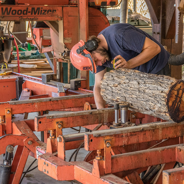 The Palomar College Cabinet and Furniture Technology Department student Brett Ritchey saws a log on the sawmill with Liam Liedorff assisting. October 20, 2016. Joe Dusel/ The Telescope.