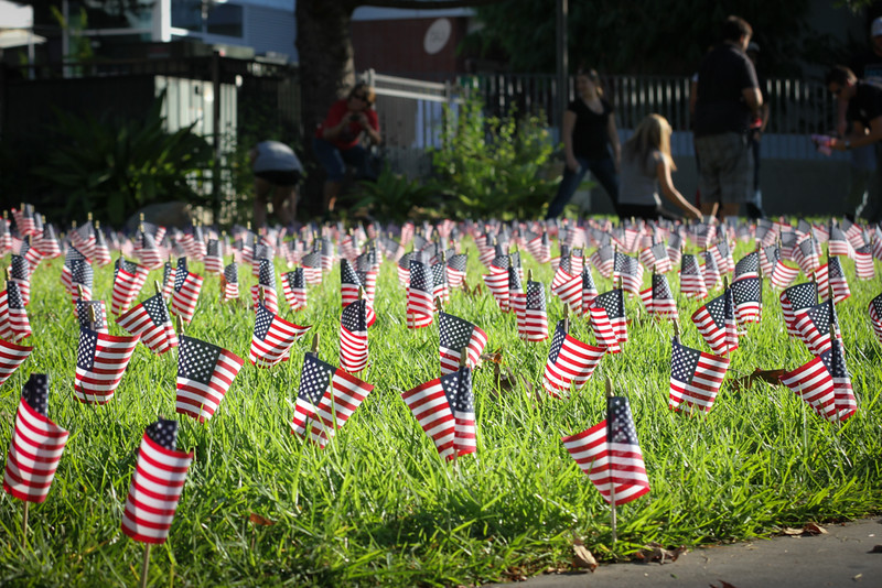 Many American flags are on a small field of grass with some people walking away in the background.
