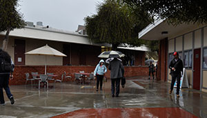 The umbrellas come out as Palomar students transit between classes during a rainy Monday afternoon on Feb 6. 2017 . Johnny Jones/The Telescope