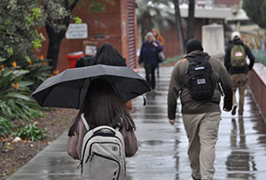 The umbrellas come out as Palomar students transit between classes during a rainy Monday afternoon on Feb 6. 2017 . Johnny Jones/The Telescope