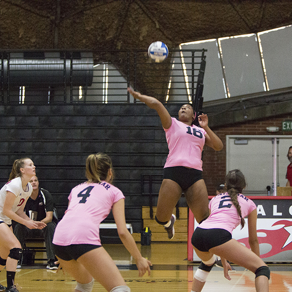 A female Palomar volleyball player jumps up and hits the ball with her right hand as her teammates in the foreground watches her.
