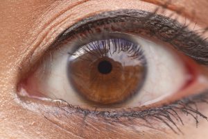 Brown eye color created by melanin deposits. Savhanna Vargas/ The Telescope