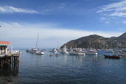 Boats docked at the bay at Avalon, Catalina Island.
