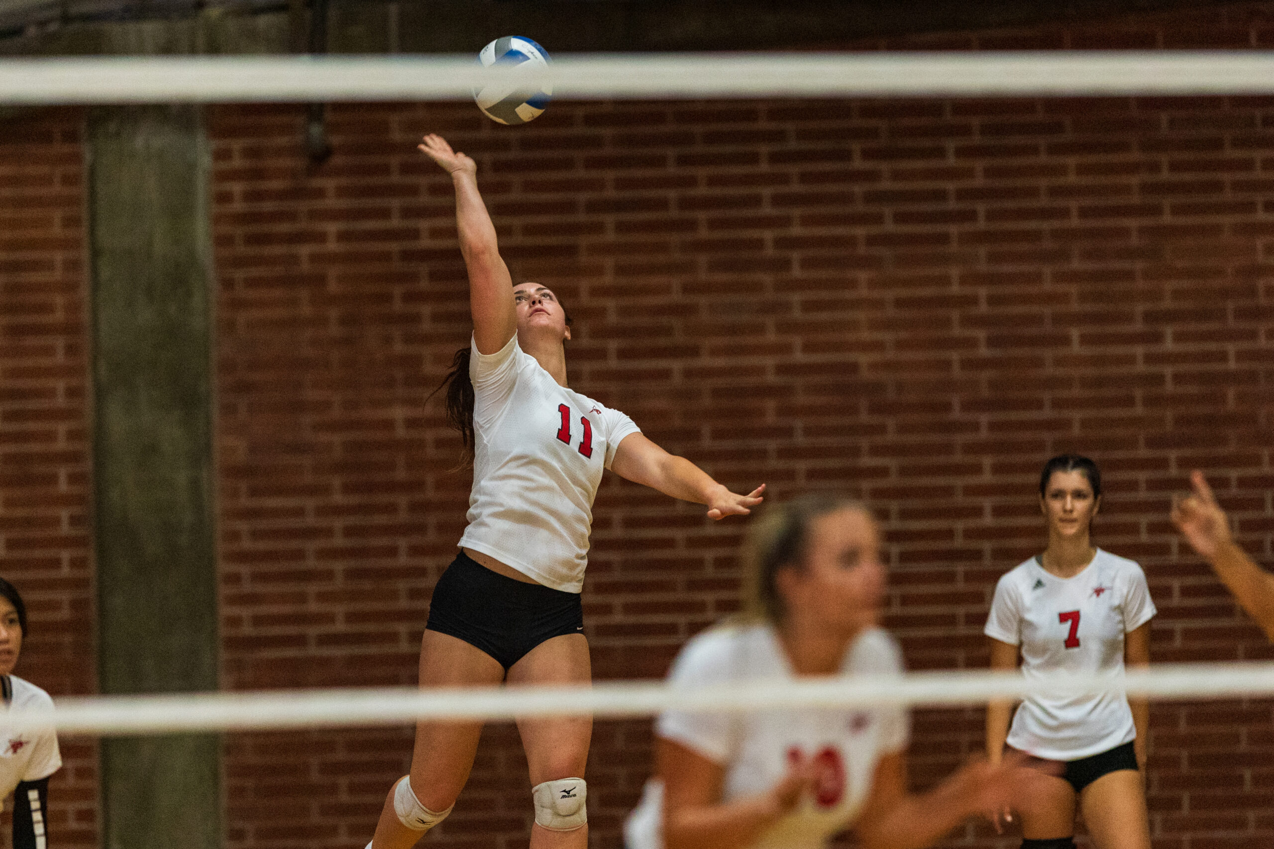 A female Palomar volleyball player (11) serves a volleyball with her right hand.
